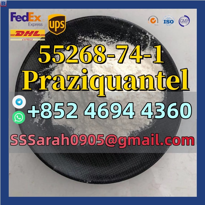 High Quality Praziquantel Powder CAS 55268-74-1 Praziquantel