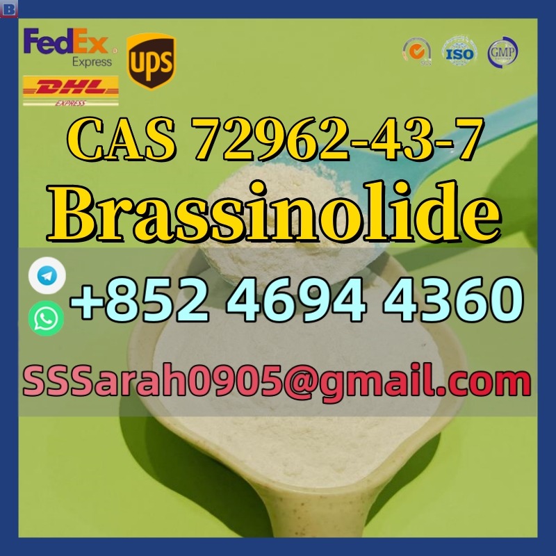 High Purity Brassinolide Powder CAS 72962-43-7 