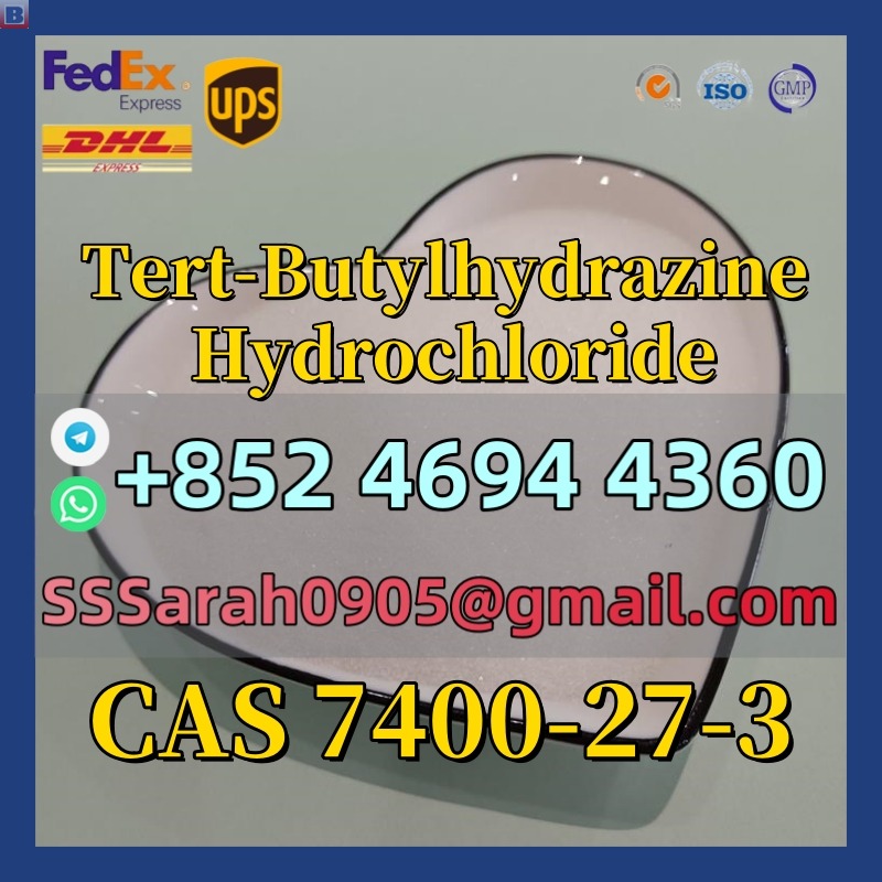 1.CAS 7400-27-3 Tert-Butylhydrazine Hydrochloride Pesticide