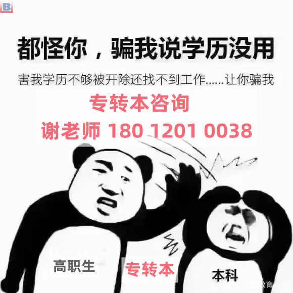 2026五年制专转本倒计时，热门专业解析与高效备考方案